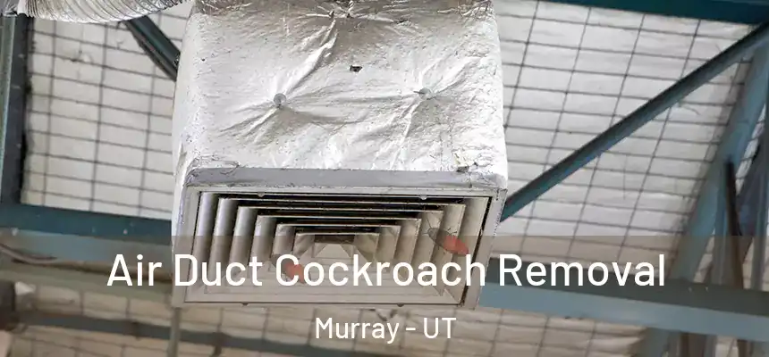  Air Duct Cockroach Removal Murray - UT