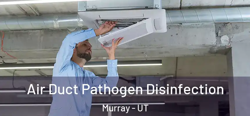  Air Duct Pathogen Disinfection Murray - UT