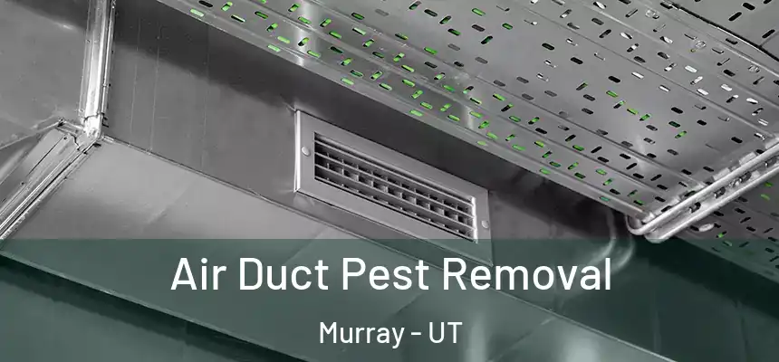  Air Duct Pest Removal Murray - UT