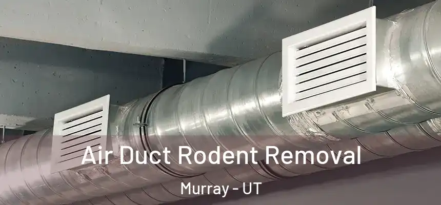  Air Duct Rodent Removal Murray - UT
