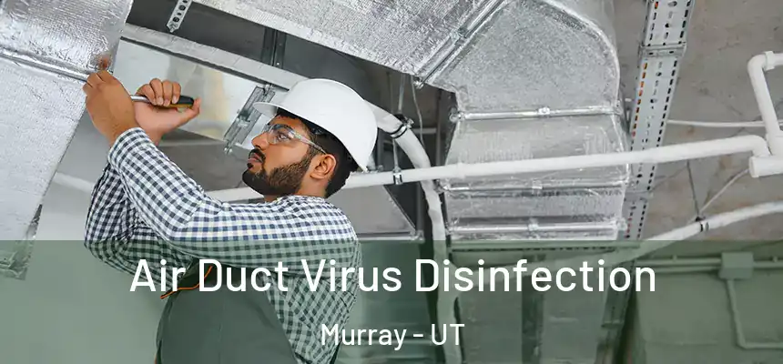  Air Duct Virus Disinfection Murray - UT