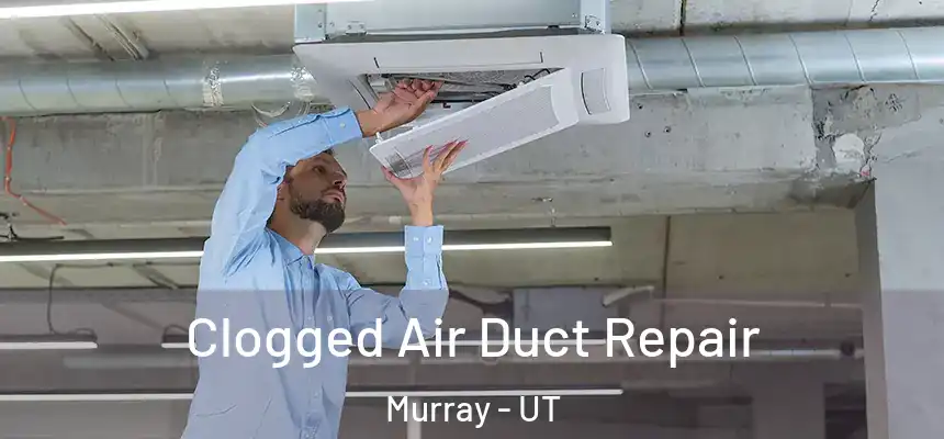  Clogged Air Duct Repair Murray - UT