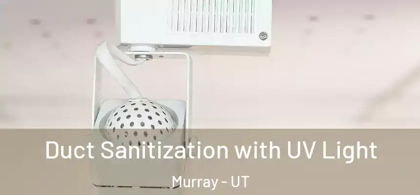  Duct Sanitization with UV Light Murray - UT