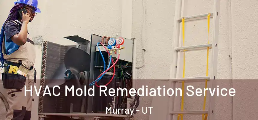  HVAC Mold Remediation Service Murray - UT