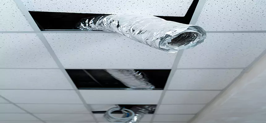 Our Air Duct Pet Hair Removal Services in Murray, UT