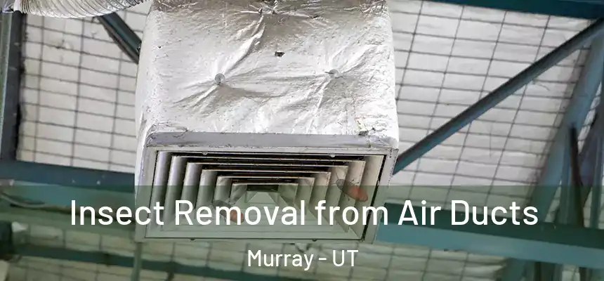  Insect Removal from Air Ducts Murray - UT