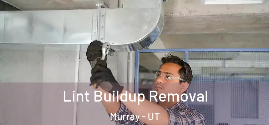  Lint Buildup Removal Murray - UT