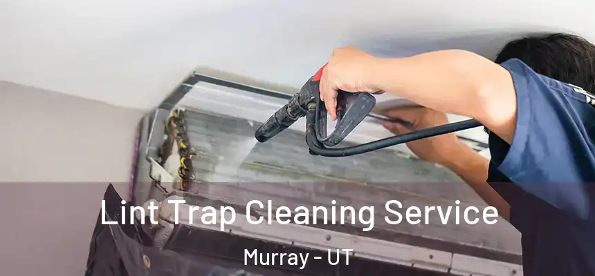  Lint Trap Cleaning Service Murray - UT