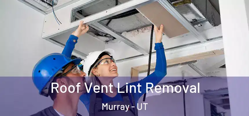  Roof Vent Lint Removal Murray - UT