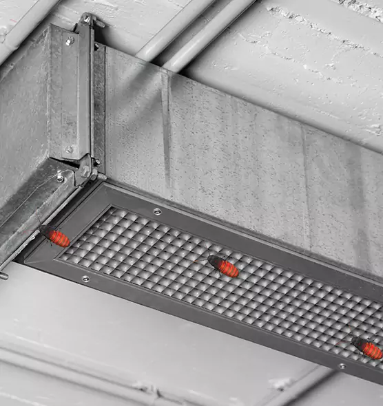About Air Duct Cockroach Removal in Murray, UT