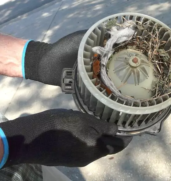 About Air Duct Rat Removal in Murray, UT