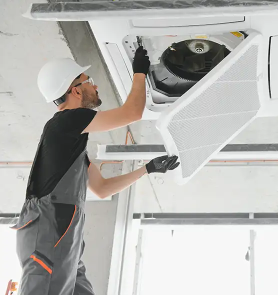 About Air Duct Rodent Removal in Murray, UT