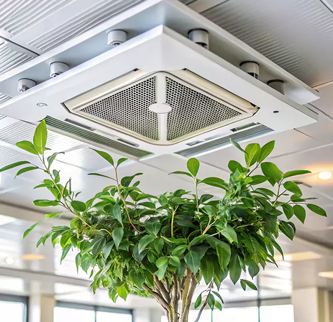 Why Homeowners & Businesses Trust Us in Murray, UT